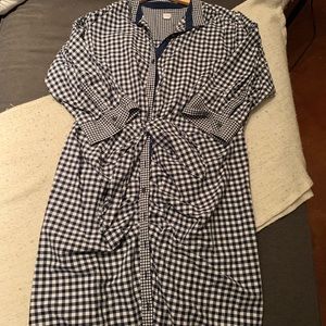 Gap Gingham SJP shirt dress